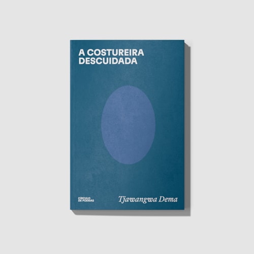 A costureira descuidada A costureira descuidada