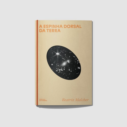 a espinha dorsal da terra a espinha dorsal da terra