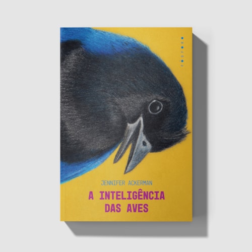 A inteligência das aves A inteligência das aves