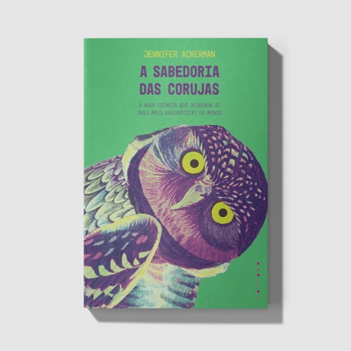 A sabedoria das corujas A sabedoria das corujas