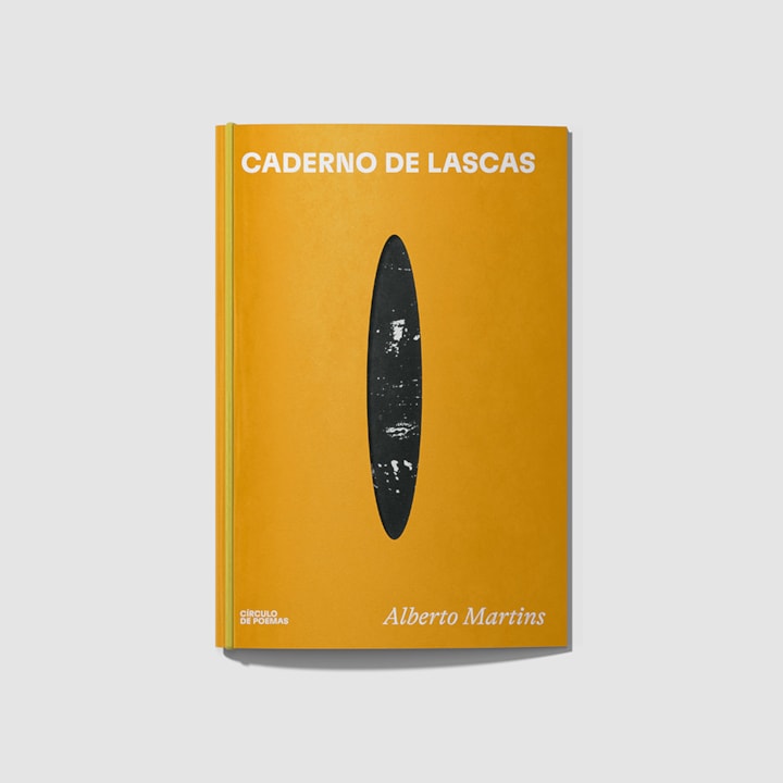 Caderno de lascas
