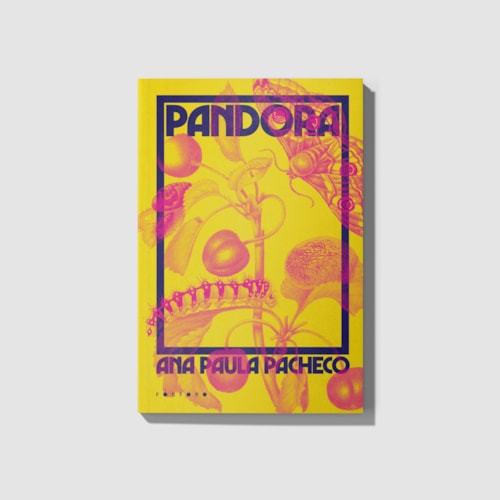 Pandora Pandora