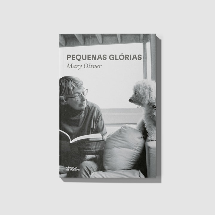 Pequenas glórias