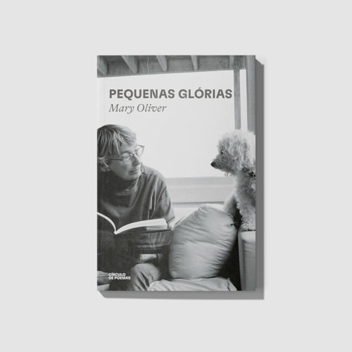Pequenas glórias Pequenas glórias