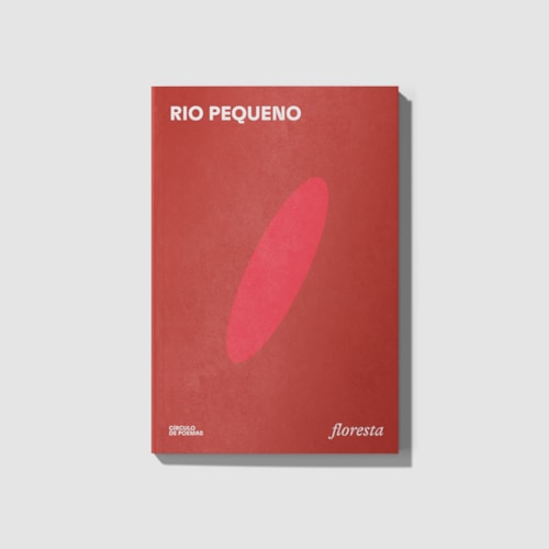 rio pequeno rio pequeno