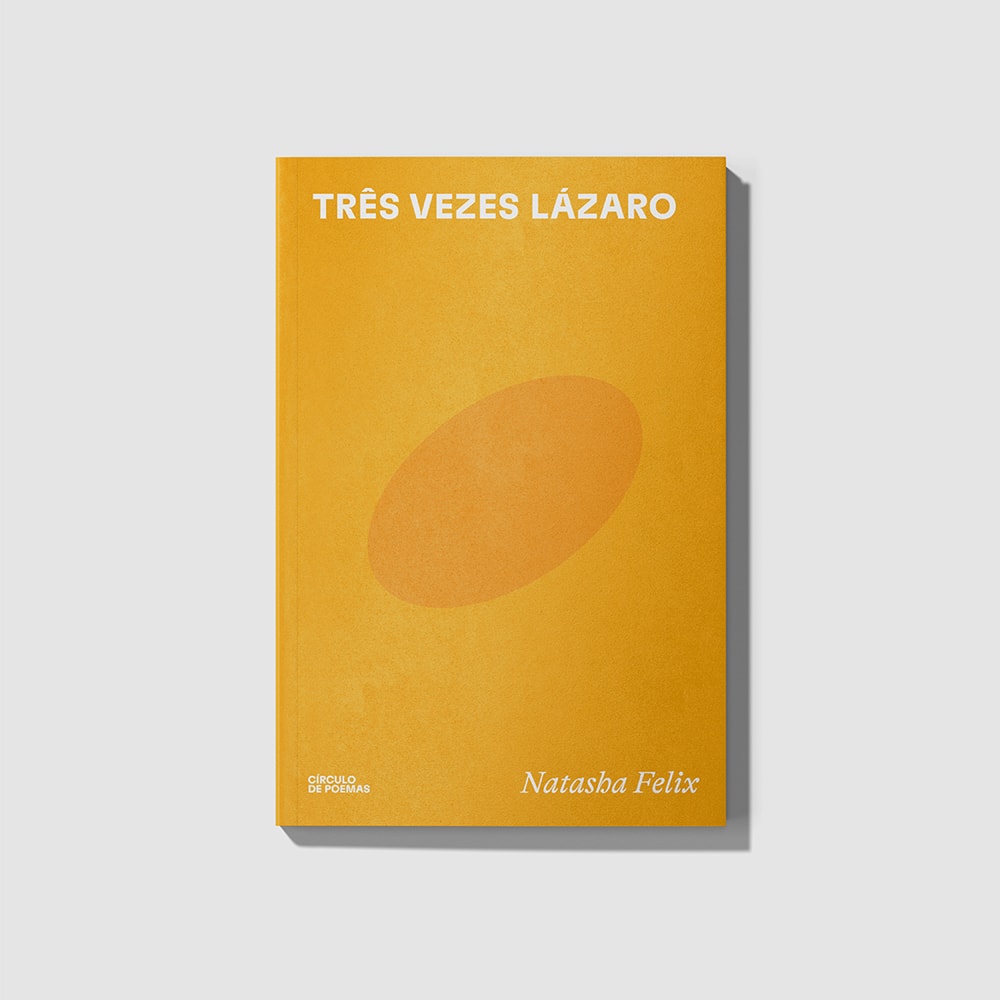 Três camadas de noite, de Vanessa Barbara