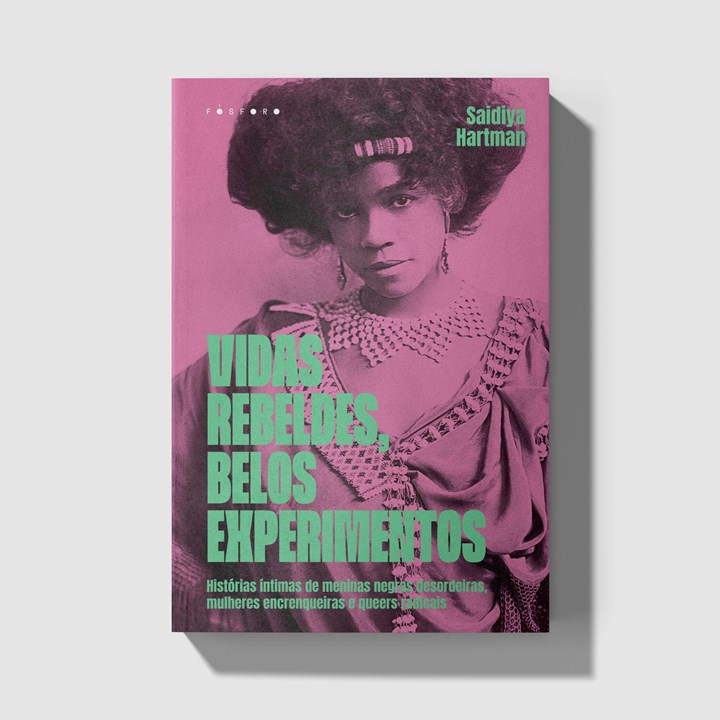 Vidas rebeldes, belos experimentos: histórias íntimas de meninas negras desordeiras, mulheres encrenqueiras e queers radicais