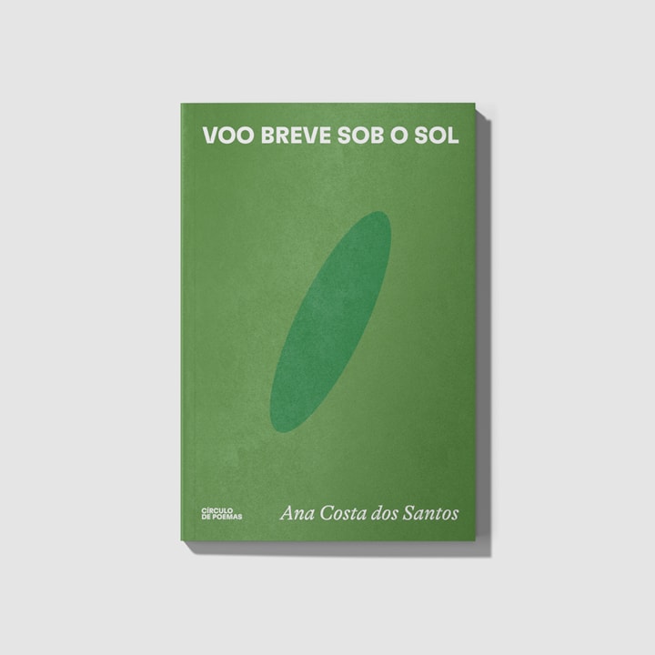 Voo breve sob o sol